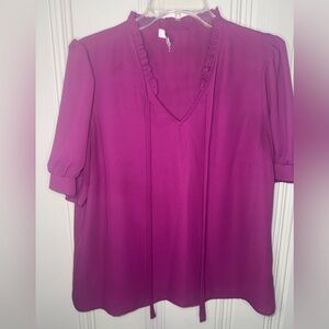Chaus Pink Blouse - Size Large